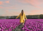 Тюльпанная лихорадка: снимки необъятных цветущих полей Нидерландов (Фото) 