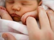 Пытавшиеся вывезти с Украины детей французы отделались штрафом