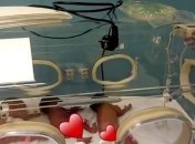 Малийская женщина смогла родить сразу девять детей (фото малышей)