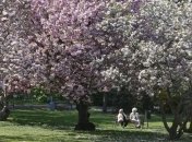 Природный парк Чешская Швейцария 