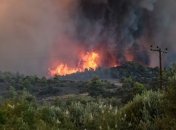 В Греции увеличилось число жертв лесных пожаров