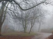 Дождь с мокрым снегом и туманы: какой будет погода в Украине до конца недели