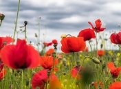 16 июля - праздник, что категорически запрещено делать, главные приметы