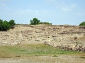 Ученые нашли в Японии самое маленькое яйцо динозавра