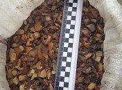 Полиция изъяла на Ривненщине янтаря на полмиллиона