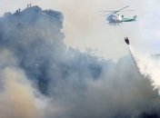 Масштабный лесной пожар угрожает природному парку в Испании