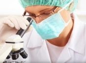 Найден новый способ размножения стволовых клеток пуповинной крови