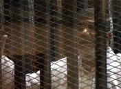 Мухаммеда Мурси обвинили в шпионаже в пользу Ирана 