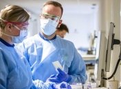 COVID-19 в Нидерландах: количество инфицированных превысило 34 тыс человек