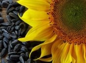 В Днепропетровске сгорел грузовик с 13 тоннами семечек