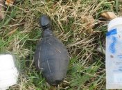 Немецких полицейских подняли на уши из-за "опасной" секс-игрушки (фото)