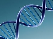 Экспертиза ДНК помогла установить имена 235 погибших бойцов АТО