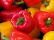 Перелік ефективних добрив для перцю