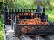 Зарплата на селе в 2019 году выросла почти на треть