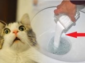 Полезным продуктом для чистки труб является обычная соль