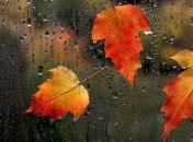 Прогноз погоды на 19 октября: в западных регионах ожидаются дожди