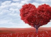 День святого Валентина 2020: какого числа отмечается праздник влюбленных