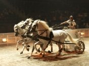 Гонки на колесницах