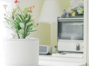 Разработчики представили "умный" горшок Planty (Видео)