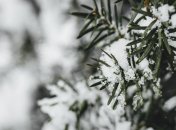 Снега становится все больше