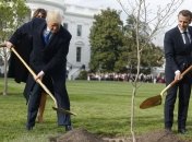 Исчез "дуб дружбы", который посадили Трамп и Макрон у Белого дома