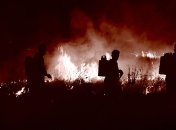 Пожар на даче в Днепре: пострадал 65-летний мужчина (Видео)