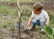 Какой сегодня праздник - Трофим Бессонник