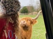 Сестри Хадід позували з буйволами на ранчо для Vogue