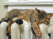 КГГА: Отопительный сезон в Киеве стартует с 15 октября