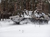 Украинские воины