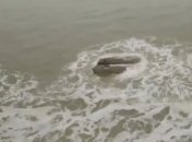 Туристы увидели русалку у берегов Израиля (Видео)