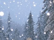 Погода в Украине на 18 января: снегопад, сильный ветер