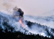 На 2-километровой горе в Болгарии горит лес