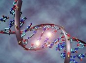 Мутации в генах микробов делают их устойчивыми к действию антибиотиков