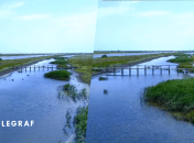 Белосарайская коса в оккупации