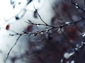 В Украине погода существенно не изменится