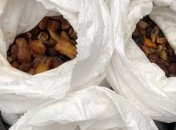 Зарабатывал на янтаре: на Ровенщине будут судить сельского голову