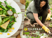 Полезный сорняк на огороде