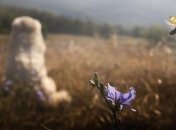 Теплые фотоснимки итальянской деревушки, которые напомнят вам о детстве (Фото) 