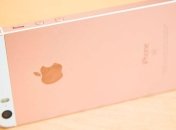 Apple объяснила, что означают буквы SE в названии нового iPhone