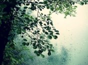 Прогноз погоды на 2 июля: в большей части Украины пройдут дожди