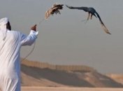 Охотничья культура ОАЭ