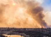 Шмигаль: Пожежі не загрожують критичним об'єктам у Чорнобильській зоні