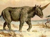 Ученые рассказали о существовании "сибирских единорогов"