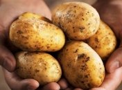 В Украине подешевел "борщевой набор"