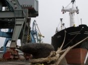 Украинские порты наращивают перевалку контейнерных грузов