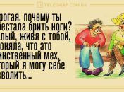 Насладитесь моментом в этот вечер: анекдоты 12 ноября