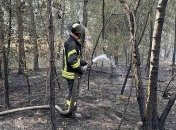 В Луганской области пожарные продолжают бороться с огнем
