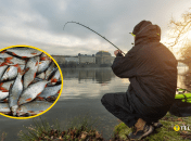 Ограничения традиционно вводят с апреля