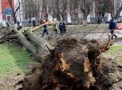 Итоги 11 марта: Убийственный ветер, новая провокация на Азове и ЧП в Венесуэле